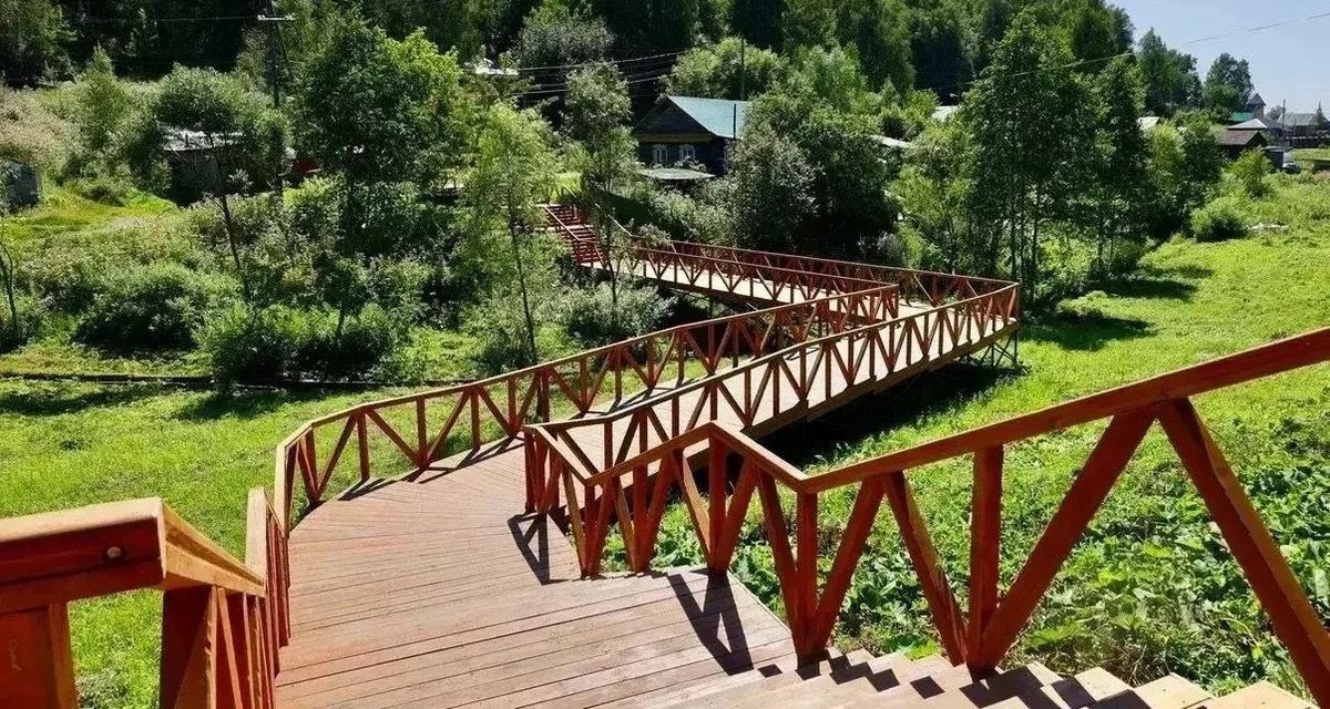 В Тобольске хотят соединить «Чертову гору» и сосну «Королеву» в сеть экотроп